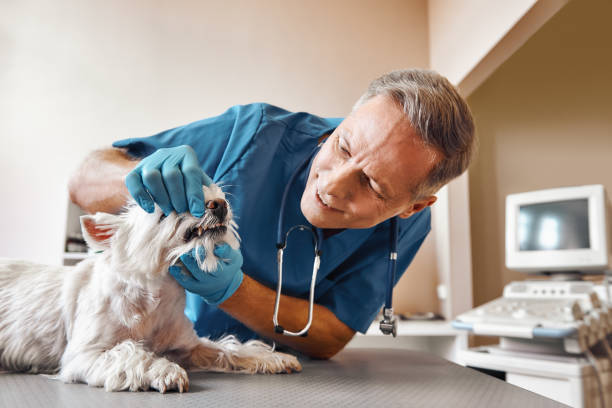 Best Weekend Emergency Dentist in Mint Hill, NC